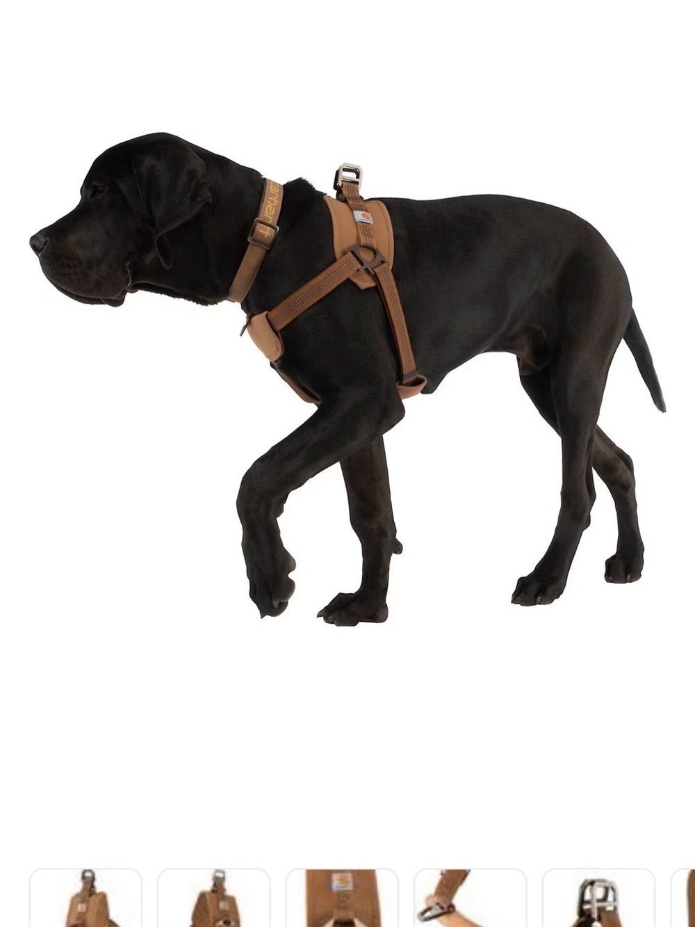 Carhartt Dog Harness, Brown, Medium